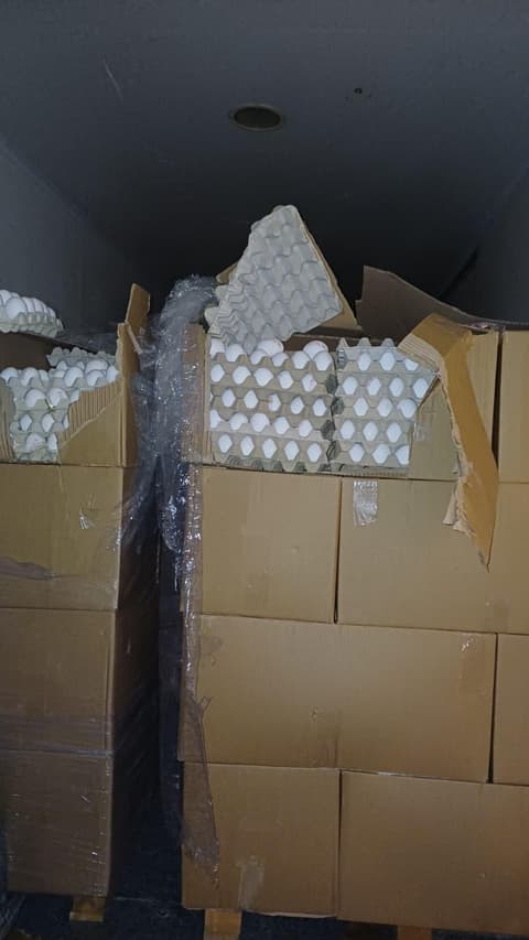 אחת מתפיסות הביצים הגדולות: 76,800 ביצים עם חותמות מזויפות נתפסו בדרך לירושלים