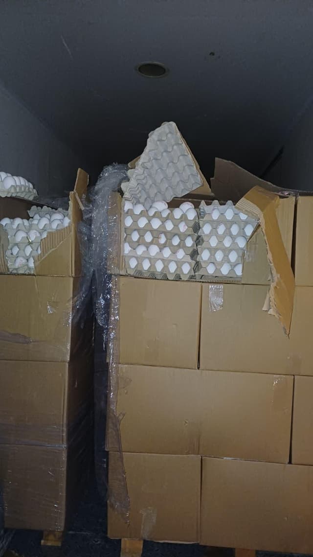 אחת מתפיסות הביצים הגדולות: 76,800 ביצים עם חותמות מזויפות נתפסו בדרך לירושלים