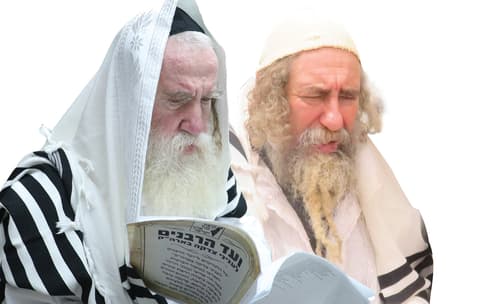 הסוד שמעכב את הישועה: מעמד "התרת קללות" הנדיר של גדולי ישראל