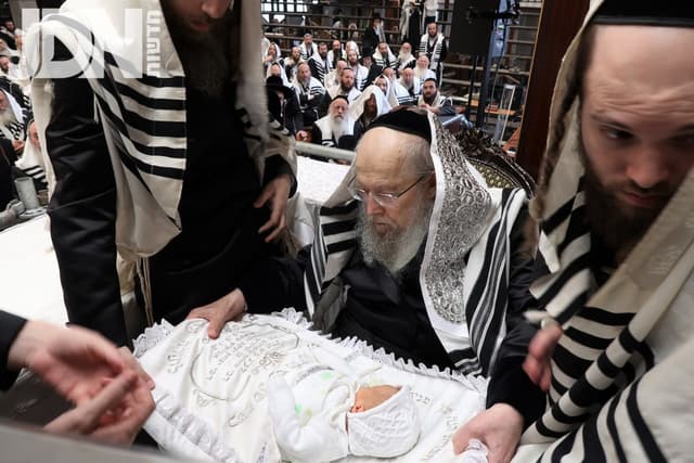 שמחת הברית בחצרות סלונים – קוזמיר