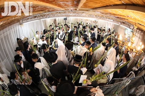 רבבות נוהרים מכל קצווי תבל: תיעוד ענק מחג הסוכות בצל קודשו של פוסק הדור הגר"מ שטרנבוך