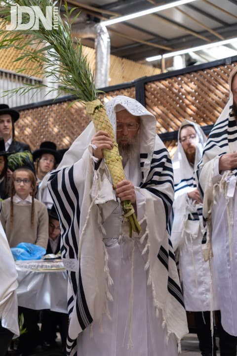 מראות מחג הסוכות בחצה"ק פינסק קרלין
