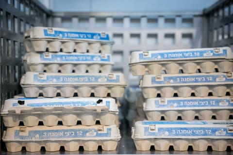 משרד החקלאות הודיע: עלייה של כ-2.1% במחירי הביצים שבפיקוח
