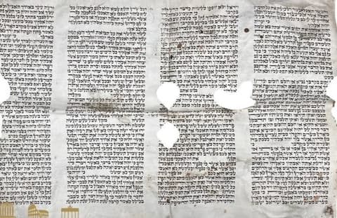 סערה: משרד החוץ דורש מנורווגיה לעצור מכירה פומבית של קלף ספר תורה שחולל בשואה