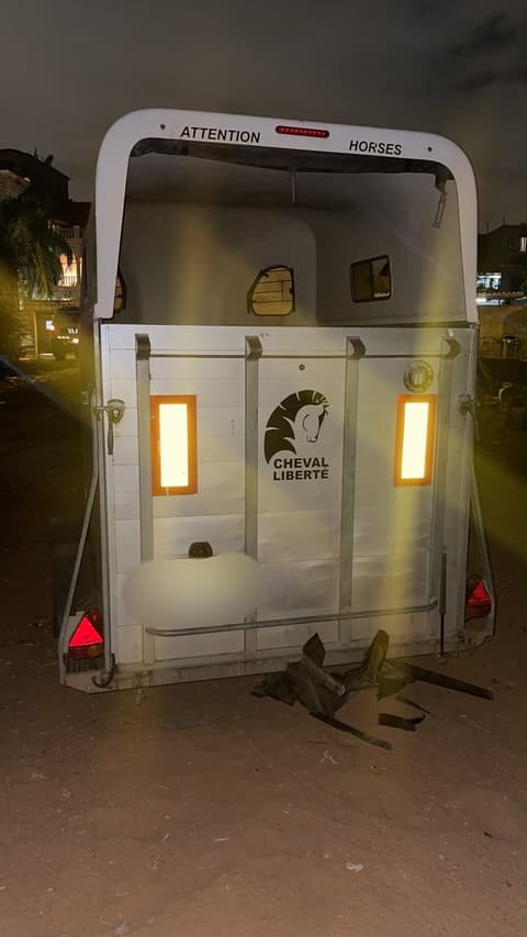 עסקת מכירת סוסה שנהפכה לשוד בכפר א-זעים: נעצרו שני חשודים