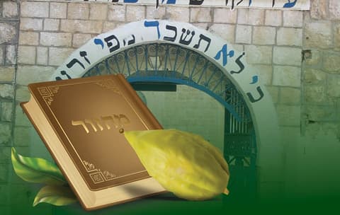 יום החיתום: הבטחת ה'בית יוסף' במירון שתקרע עבורכם את גזר הדין בהושענא רבה