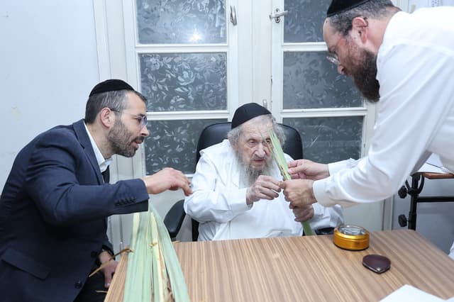 לקראת החג: אלי רוסוף הציג את הלולבים בבתי גדולי ישראל