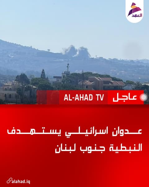عدوان اسرائيلي يستهدف النبطية جنوب لبنان