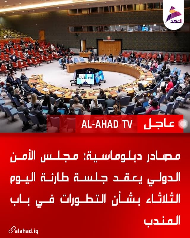 مصادر دبلوماسية: مجلس الأمن الدولي يعقد جلسة طارئة اليوم الثلاثاء بشأن التطورات في باب المندب