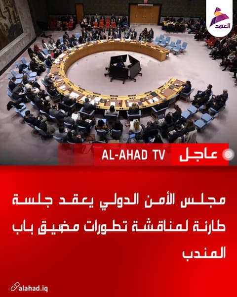 مجلس الأمن الدولي يعقد جلسة طارئة لمناقشة تطورات مضيق باب المندب