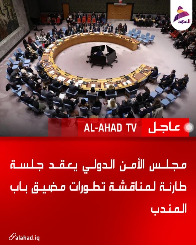 مجلس الأمن الدولي يعقد جلسة طارئة لمناقشة تطورات مضيق باب المندب
