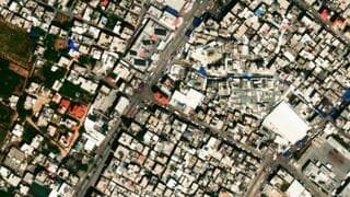 יותר מ-5,000 חתמו: אנשי ציבור בעולם דוחים את הטענה על "רצח עם" בעזה