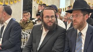 מהלך שנועד "לדפוק את השיטה"