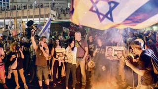 אריות מונהגים בידי חמורים