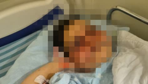 זוועה בכפר סבא: תקף את בת הזוג, והרג בחרב סמוראים את כלבתו