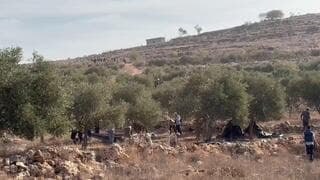 דיווחים: צלמת המלחמות של "וושינגטון פוסט" נפצעה בעימותים עם פורעים יהודים