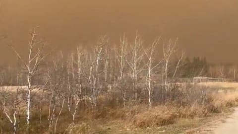 אסון בבסיס בקנדה: לפחות 7 נהרגו ועשרות נפצעו בפיצוץ בתרגיל באש חיה