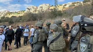 מועמד דמוקרטי לקונגרס עוכב באזור בית לחם: "מסיק זיתים אינו פשע"